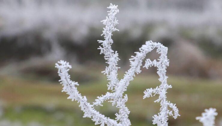 Meteoroloji’den Kritik Uyarı: Yurt Genelinde Yağış, Don ve Kuvvetli Rüzgar Bekleniyor