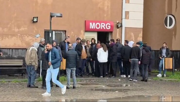 Diyarbakır’da Yıldırım Faciası: Ağaca İsabet Eden Yıldırım Sonucu 2 Çocuk Hayatını Kaybetti