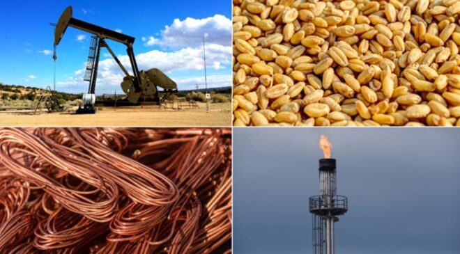 Emtia Piyasasında Yükseliş: Değerli ve Baz Metaller Parlarken, Enerji Grubunda Düşüş