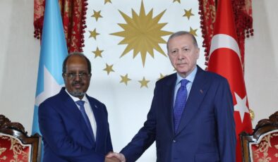 Erdoğan, Somali Cumhurbaşkanı Mahmud’u İstanbul’da Ağırladı: İkili İlişkiler ve İşbirliği Gündemde