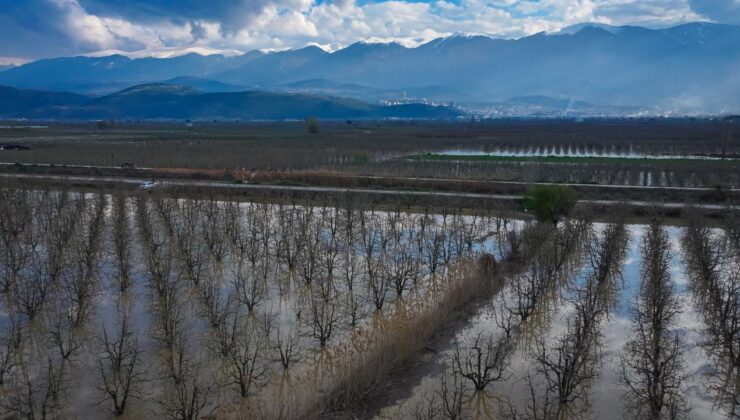 Bursa Gürsu Ovası’nda Sağanak Afeti: Armut Bahçeleri Sular Altında