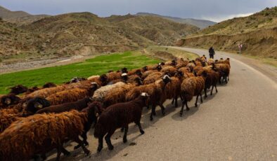 Kastamonu’da 784 Milyonluk Dev Yatırımla Hayvancılıkta Yeni Dönem: Devrekani Besi Organize Tarım Bölgesi