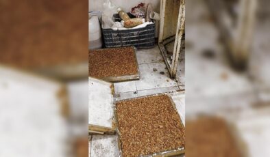 Kırıkhan’da Yıkım Tebligatı Dehşeti: Kaçak Lokum İmalathanesinde Sağlık Faciası!