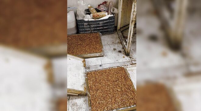 Kırıkhan’da Yıkım Tebligatı Dehşeti: Kaçak Lokum İmalathanesinde Sağlık Faciası!