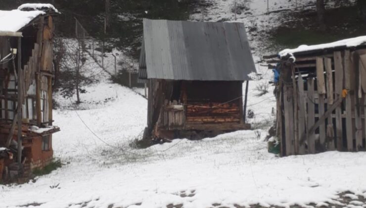 Ankara’nın Dögmeci Köyü Beyaza Büründü: Kar Yağışı Hayatı Olumsuz Etkiliyor