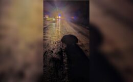 Karabük-Yenice Yolunda Heyelan: Kaya Parçaları Yolu Kapattı, Trafik Kontrollü Sağlandı