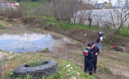 Alaplı’da Gölette Trajedi: 12 Yaşındaki Çocuk Hayatını Kaybetti