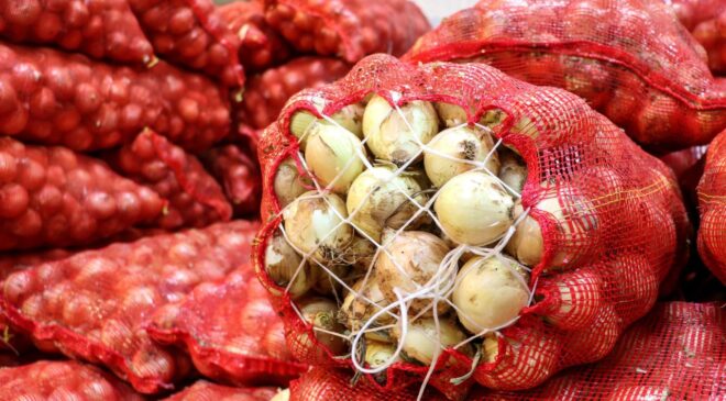 Kuru Soğan İhracatında Yükseliş: Türkiye’den Dünya Sofralarına Lezzet