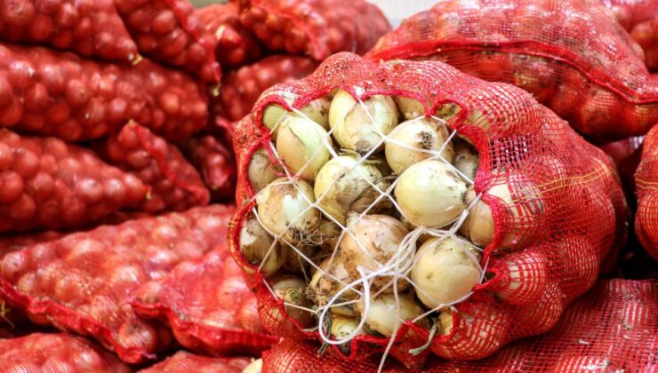 Kuru Soğan İhracatında Yükseliş: Türkiye’den Dünya Sofralarına Lezzet