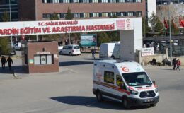 Mardin’de Feci Kaza: Mardin-Diyarbakır Yolu’nda İki Otomobil Çarpıştı, 10 Yaralı