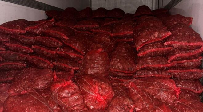 Bursa ve Balıkesir’de 10 Ton Kaçak Midye Operasyonu: Halk Sağlığına Tehdit!