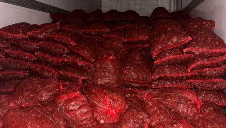 Bursa ve Balıkesir’de 10 Ton Kaçak Midye Operasyonu: Halk Sağlığına Tehdit!