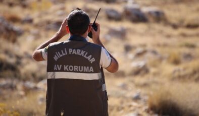 Doğa Koruma ve Milli Parklar Uzmanlığı Yönetmeliği Resmi Gazete’de Yayımlandı: Yeni Atama ve Yükselme Şartları