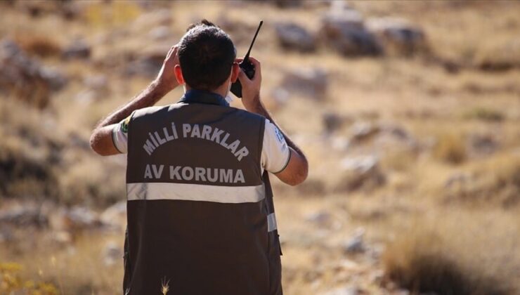 Doğa Koruma ve Milli Parklar Uzmanlığı Yönetmeliği Resmi Gazete’de Yayımlandı: Yeni Atama ve Yükselme Şartları