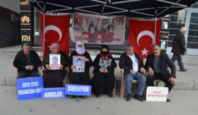 Diyarbakır’da Annelerden Evlat Nöbeti: ‘Evlatlarımıza Teslim Olun’ Çağrısı