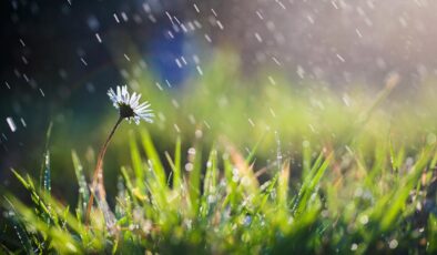 Kuraklık Alarmı: Son Yağışlar Rahatlatmadı, Türkiye’nin Çeşitli Bölgelerinde Kuraklık Devam Ediyor