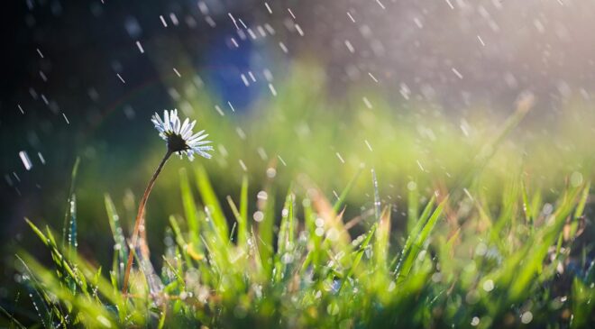 Kuraklık Alarmı: Son Yağışlar Rahatlatmadı, Türkiye’nin Çeşitli Bölgelerinde Kuraklık Devam Ediyor