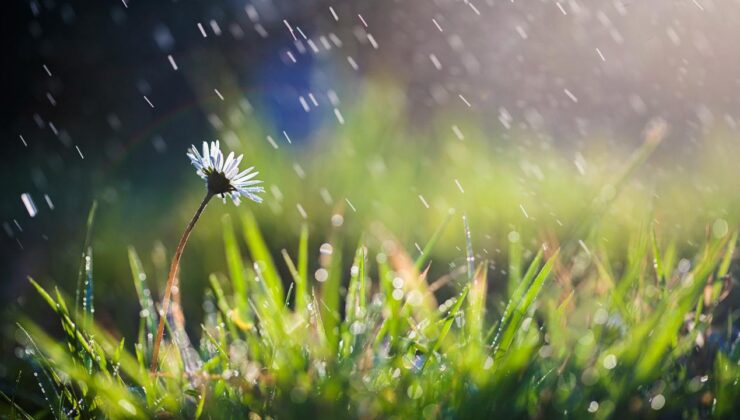 Kuraklık Alarmı: Son Yağışlar Rahatlatmadı, Türkiye’nin Çeşitli Bölgelerinde Kuraklık Devam Ediyor