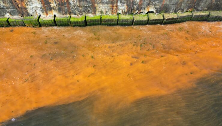 Tekirdağ Sahillerinde Deniz Rengi Değişimi Şaşırttı: Uzmanlardan Açıklama