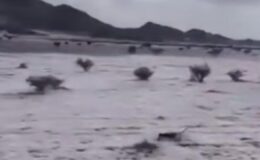 Suudi Arabistan’ı Beyaza Bürüyen Dolu: Riyad ve Mekke’de Şiddetli Hava Uyarısı