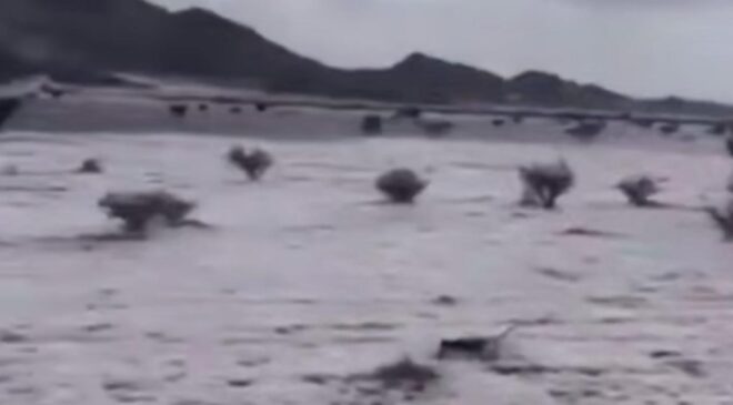 Suudi Arabistan’ı Beyaza Bürüyen Dolu: Riyad ve Mekke’de Şiddetli Hava Uyarısı