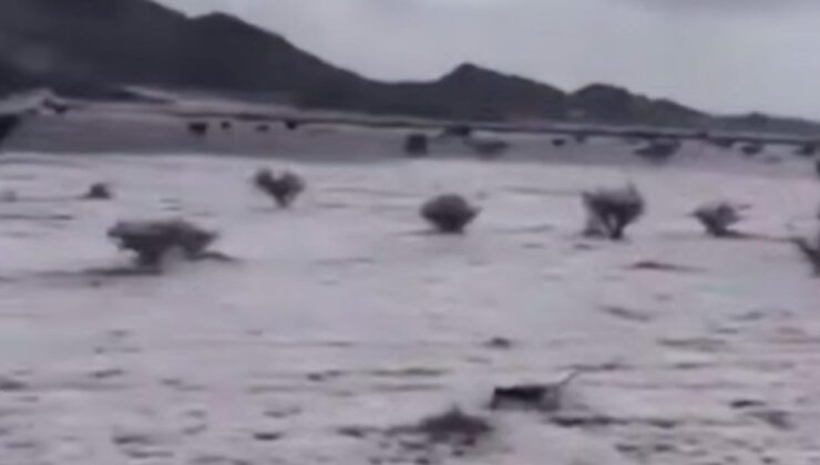 Suudi Arabistan’ı Beyaza Bürüyen Dolu: Riyad ve Mekke’de Şiddetli Hava Uyarısı