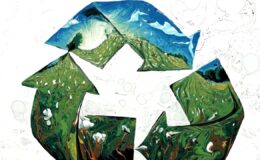 Sıfır Atık Hareketi Kıtaları Aşıyor: İstanbul, Küresel Merkez Olma Yolunda