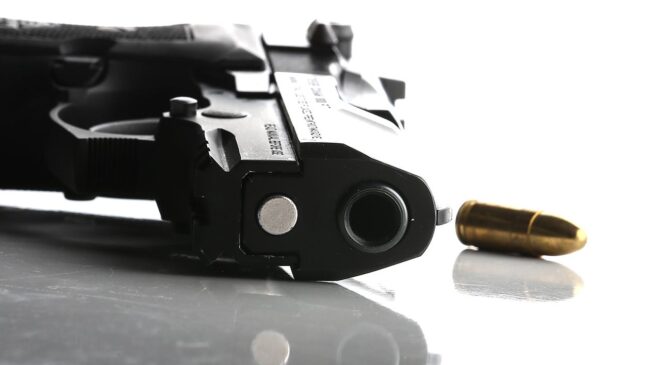 Ruhsatsız Silahla Mücadelede Kararlılık: 254 Bin Silah Toplandı, Hedef Güvenli Sokaklar