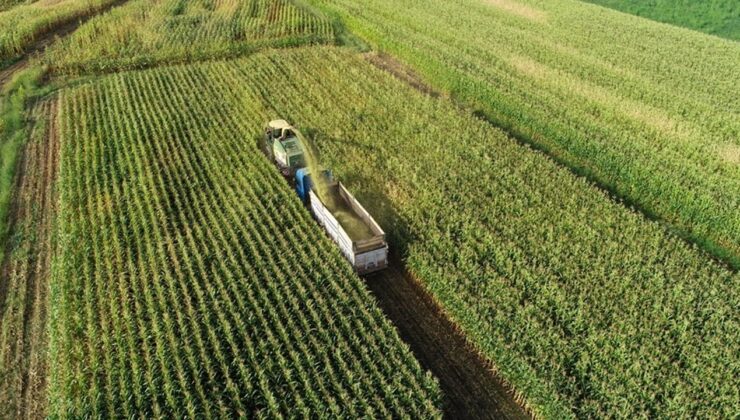 Tarım Arazileri İçin Yeni Dönem: Koruma ve Kullanım Yönetmeliği Resmi Gazete’de