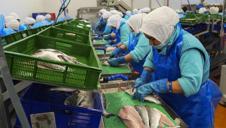 Su Ürünleri Sektöründen Rekor Başlangıç: İlk Çeyrekte 552 Milyon Dolarlık İhracat