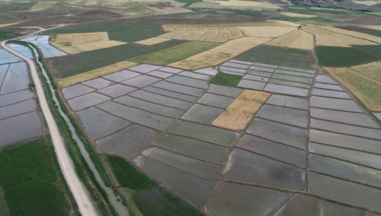 Tarımsal Sulamaya Yüzde 70’e Varan Hibe Desteği: Kırsal Kalkınma Yatırım Programı Resmi Gazete’de