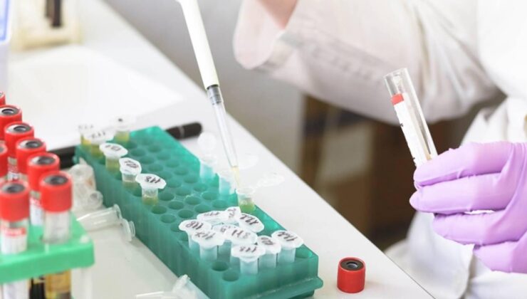 Akdeniz’de Araştırma ve İnovasyona Destek: TÜBİTAK’tan PRIMA Çağrısı Başladı