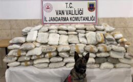 Van ve Hakkari’de Narkotik Operasyonları: Yüzlerce Kilo Uyuşturucu Ele Geçirildi, Gözaltılar Var