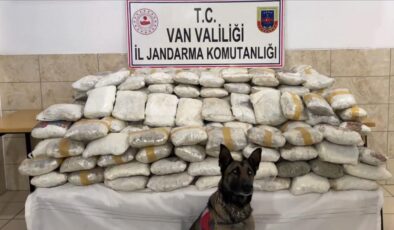 Van ve Hakkari’de Narkotik Operasyonları: Yüzlerce Kilo Uyuşturucu Ele Geçirildi, Gözaltılar Var