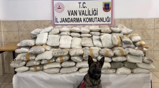Van ve Hakkari’de Narkotik Operasyonları: Yüzlerce Kilo Uyuşturucu Ele Geçirildi, Gözaltılar Var