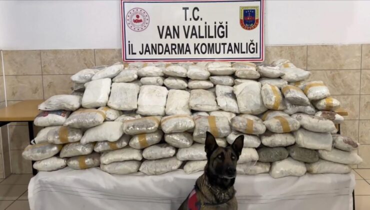 Van ve Hakkari’de Narkotik Operasyonları: Yüzlerce Kilo Uyuşturucu Ele Geçirildi, Gözaltılar Var