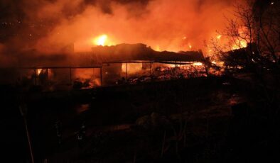 Samsun’da Muz Deposunda Yangın: Palet ve Plastik Malzemeler Alevlere Teslim Oldu