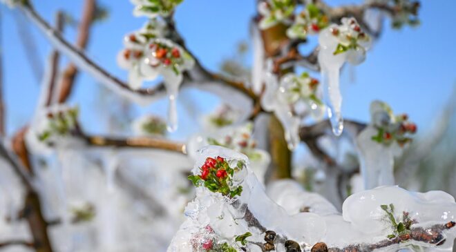 Zirai Don Raporu Tamamlandı: Komisyon İklim Değişikliğinin Tarıma Etkilerini İnceledi