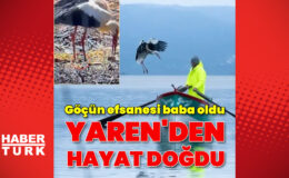 Yaren Leylek 15. Kez Eskikaraağaç’a Döndü: Balıkçı Adem’le Dostluğu Devam Ediyor, Yavrular Yolda!