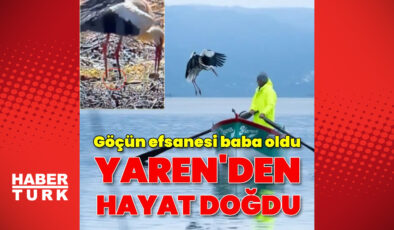 Yaren Leylek 15. Kez Eskikaraağaç’a Döndü: Balıkçı Adem’le Dostluğu Devam Ediyor, Yavrular Yolda!
