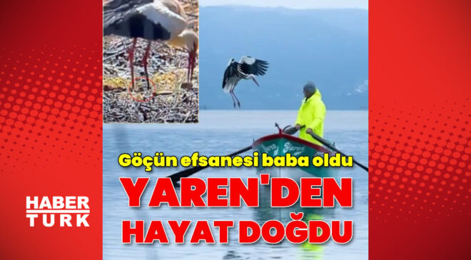 Yaren Leylek 15. Kez Eskikaraağaç’a Döndü: Balıkçı Adem’le Dostlukta Yeni Bir Evre ve Yavrular Müjdesi