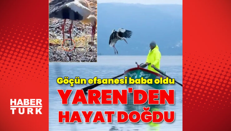 Yaren Leylek 15. Kez Eskikaraağaç’a Döndü: Balıkçı Adem’le Dostlukta Yeni Bir Evre ve Yavrular Müjdesi