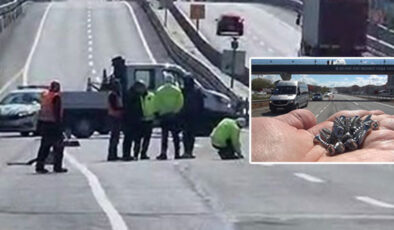 İstanbul’da D-100’de Vidalar Trafiği Felç Etti: Kamyon Sürücüsü Yakalandı