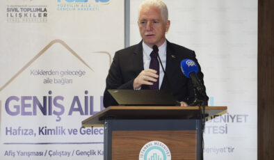 İstanbul Valisi Davut Gül’den Sokak Hayvanları Açıklaması: Kontrol Altına Alma Zorunluluğu ve Kamu Güvenliği Vurgusu