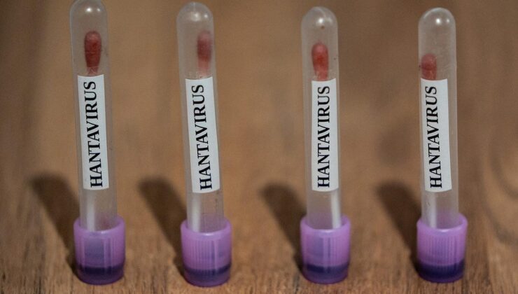 CDC, Hantavirüs Vakaları Nedeniyle Acil Durum Operasyon Merkezini Harekete Geçirdi: Halk Sağlığı İzlemede