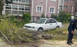 İstanbul’da Şiddetli Rüzgar Ağacı Devirdi: Park Halindeki Araca Hasar