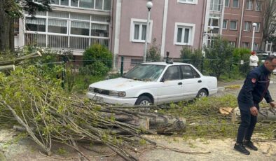 İstanbul’da Şiddetli Rüzgar Ağacı Devirdi: Park Halindeki Araca Hasar