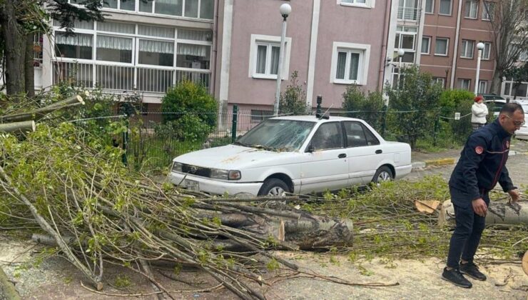 İstanbul’da Şiddetli Rüzgar Ağacı Devirdi: Park Halindeki Araca Hasar