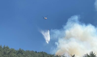 Kahramanmaraş’ta Orman Yangını: Sanığa Hapis ve 43 Milyon Liralık Ceza