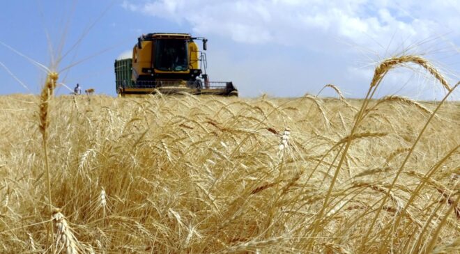 Çiftçilere 5.5 Milyar Liralık Tarımsal Destek Ödemesi Başlıyor: İşte Detaylar
